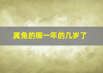 属兔的哪一年的几岁了