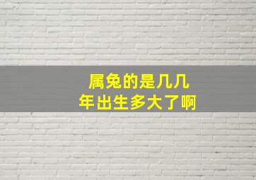 属兔的是几几年出生多大了啊