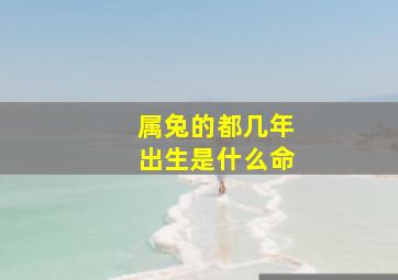 属兔的都几年出生是什么命