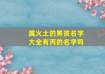 属火土的男孩名字大全有丙的名字吗