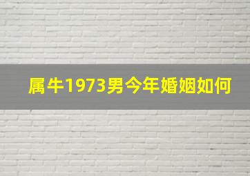 属牛1973男今年婚姻如何