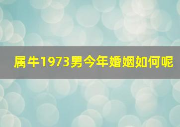 属牛1973男今年婚姻如何呢