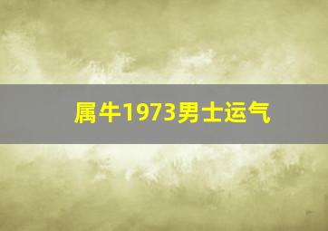 属牛1973男士运气