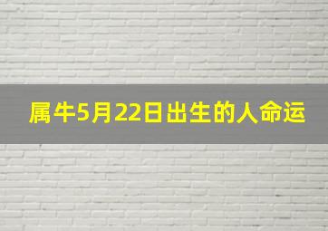 属牛5月22日出生的人命运