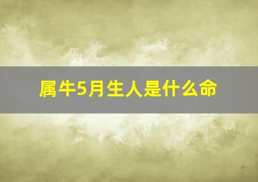 属牛5月生人是什么命