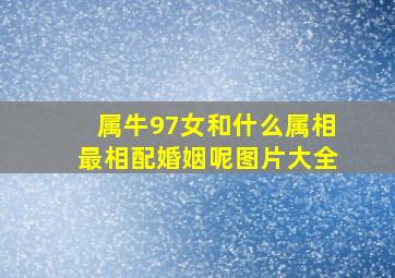 属牛97女和什么属相最相配婚姻呢图片大全