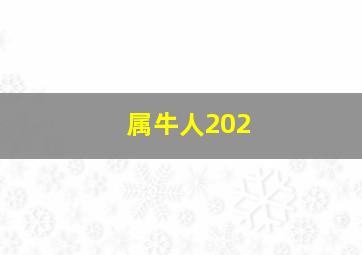 属牛人202