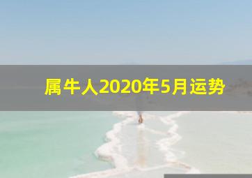 属牛人2020年5月运势