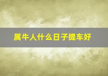 属牛人什么日子提车好