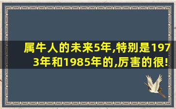 属牛人的未来5年,特别是1973年和1985年的,厉害的很!