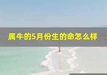 属牛的5月份生的命怎么样