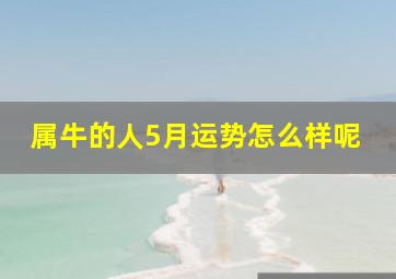 属牛的人5月运势怎么样呢