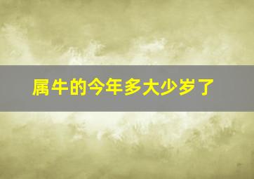 属牛的今年多大少岁了