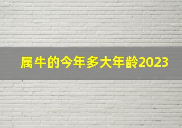 属牛的今年多大年龄2023