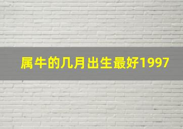 属牛的几月出生最好1997