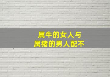 属牛的女人与属猪的男人配不