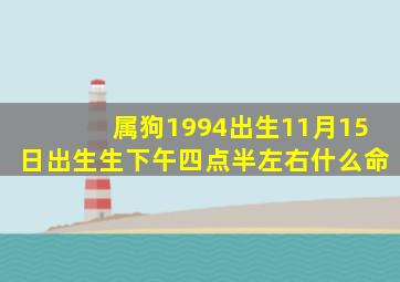 属狗1994出生11月15日出生生下午四点半左右什么命