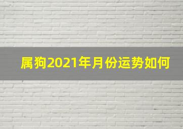 属狗2021年月份运势如何