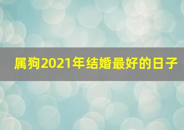 属狗2021年结婚最好的日子