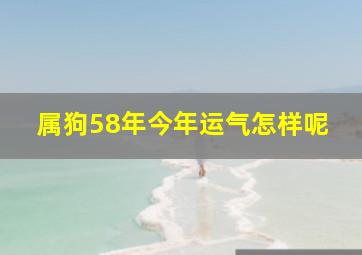 属狗58年今年运气怎样呢