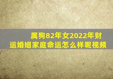 属狗82年女2022年财运婚姻家庭命运怎么样呢视频