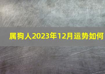 属狗人2023年12月运势如何