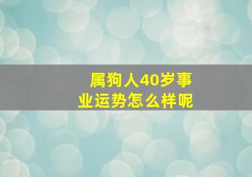 属狗人40岁事业运势怎么样呢