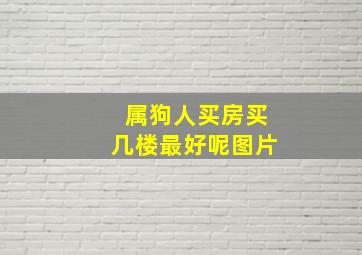 属狗人买房买几楼最好呢图片