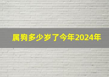 属狗多少岁了今年2024年