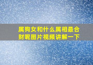 属狗女和什么属相最合财呢图片视频讲解一下