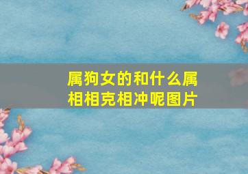 属狗女的和什么属相相克相冲呢图片