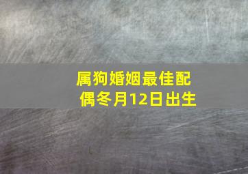 属狗婚姻最佳配偶冬月12日出生