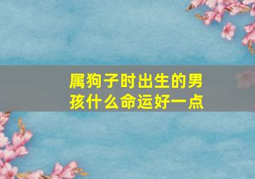 属狗子时出生的男孩什么命运好一点