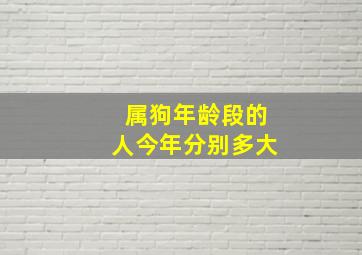 属狗年龄段的人今年分别多大