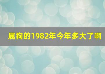 属狗的1982年今年多大了啊