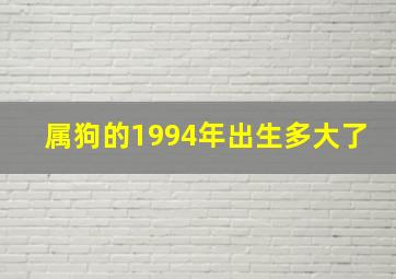 属狗的1994年出生多大了