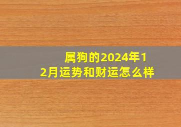 属狗的2024年12月运势和财运怎么样