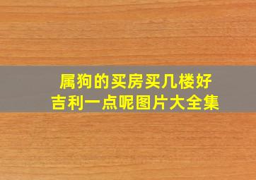 属狗的买房买几楼好吉利一点呢图片大全集