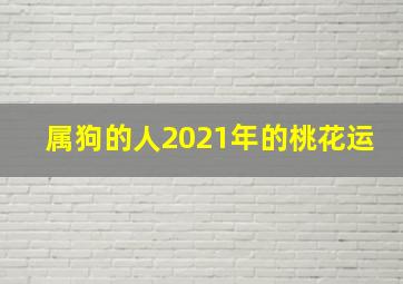 属狗的人2021年的桃花运