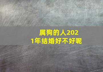 属狗的人2021年结婚好不好呢