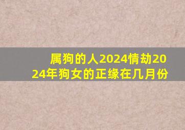 属狗的人2024情劫2024年狗女的正缘在几月份