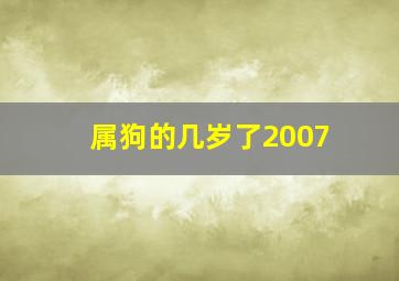 属狗的几岁了2007