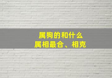 属狗的和什么属相最合、相克