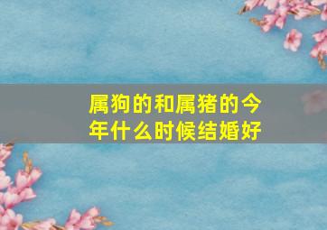 属狗的和属猪的今年什么时候结婚好