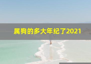 属狗的多大年纪了2021