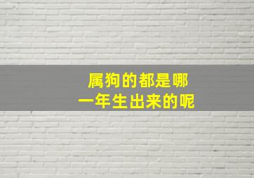 属狗的都是哪一年生出来的呢