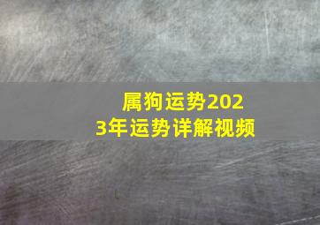 属狗运势2023年运势详解视频