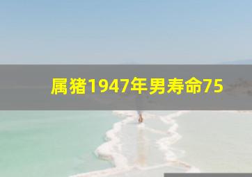 属猪1947年男寿命75