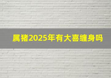 属猪2025年有大喜缠身吗