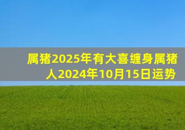 属猪2025年有大喜缠身属猪人2024年10月15日运势